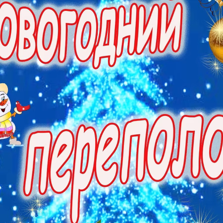 Новогодний переполох – семейный спектакль для детей и взрослых